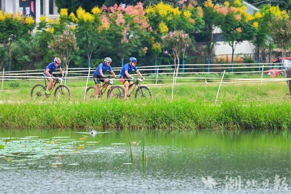 赛道还将进, 制约了这项